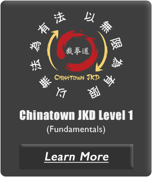 learn jeet kune do online